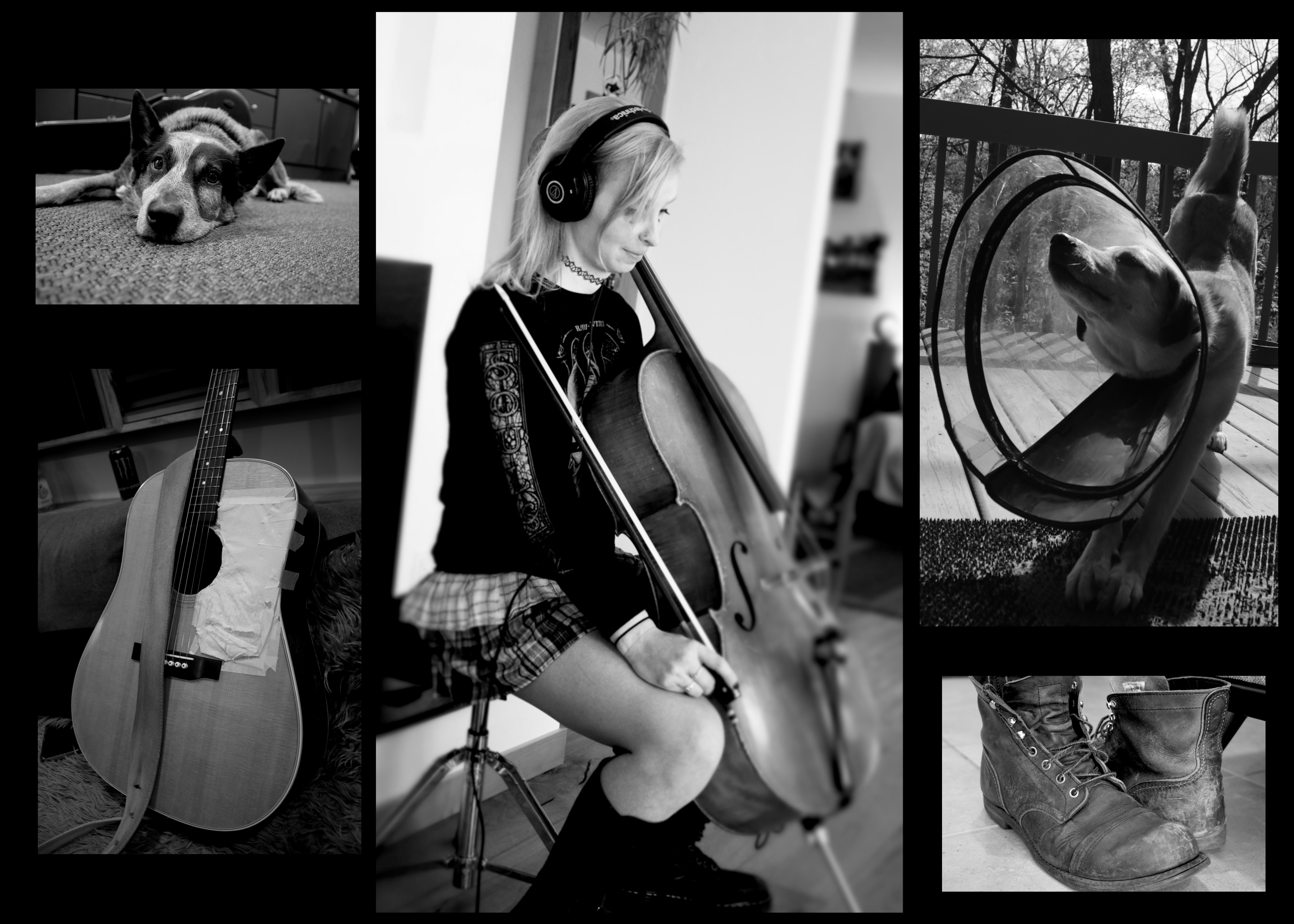 A photo collage by Nadine Douds containing photos of two dogs sleeping, one wearing a lampshade, a photo of Hailey with cello, old boots, an acoustic guitar with toilet paper taped to the pick guard to absorb finger tapping sounds
